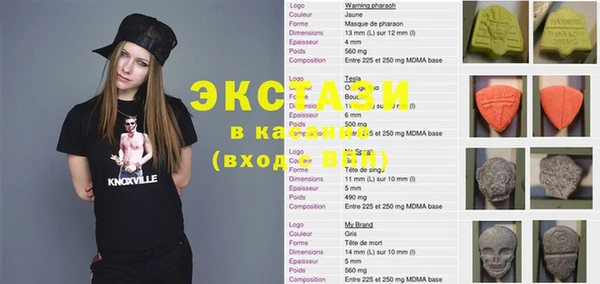крисы Абаза