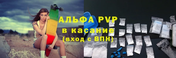крисы Абаза