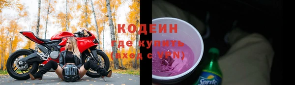 крисы Абаза