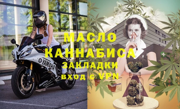 крисы Абаза