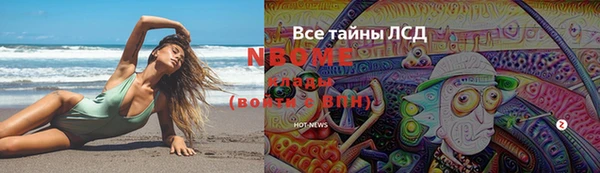крисы Абаза
