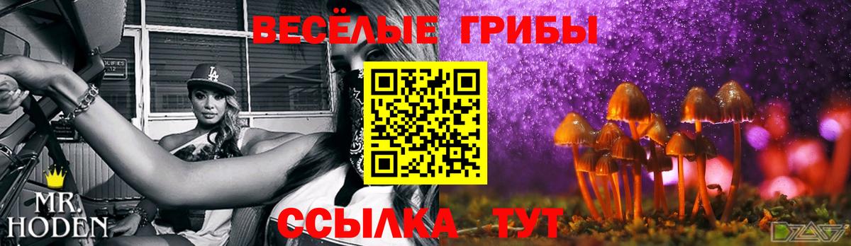 Галлюциногенные грибы Magic Shrooms  Псилоцибиновые грибы ЛСД  купить   Звенигород  Вход с VPN 